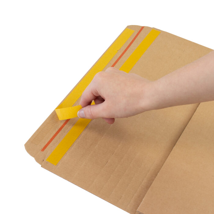 12x12x3 inch vinyl record packaging self-seal trip